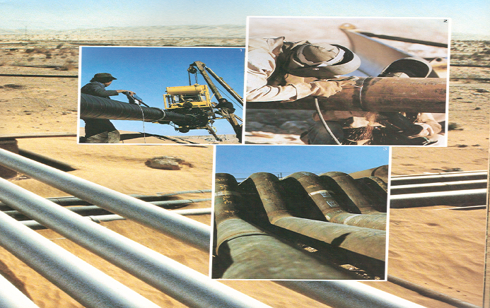 Bouchamaoui Petroleum Activities – BPA, El Borma Sahara – Tunisia